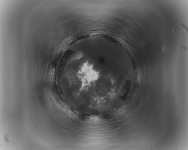 X0000099520475200805151530