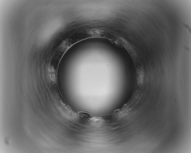 X0000099520477200805151530