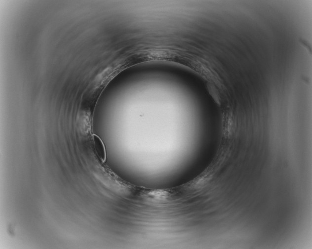 X0000099520478200805151530