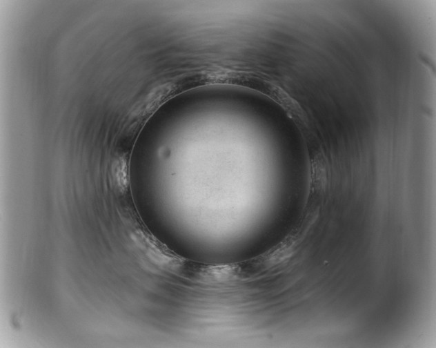 X0000099520479200805151530