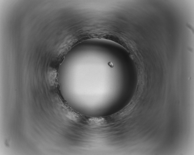 X0000099520480200805151530