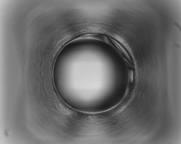 X0000099520481200805151529
