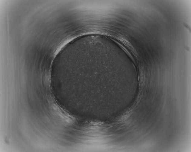 X0000099520484200805151529