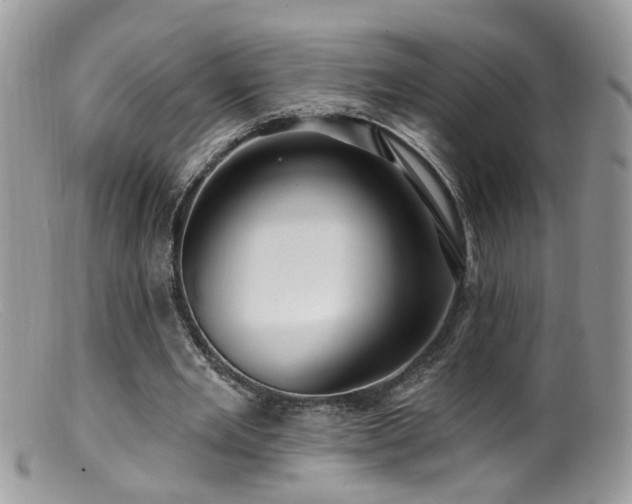 X0000099520485200805151529