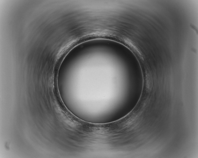X0000099520486200805151529