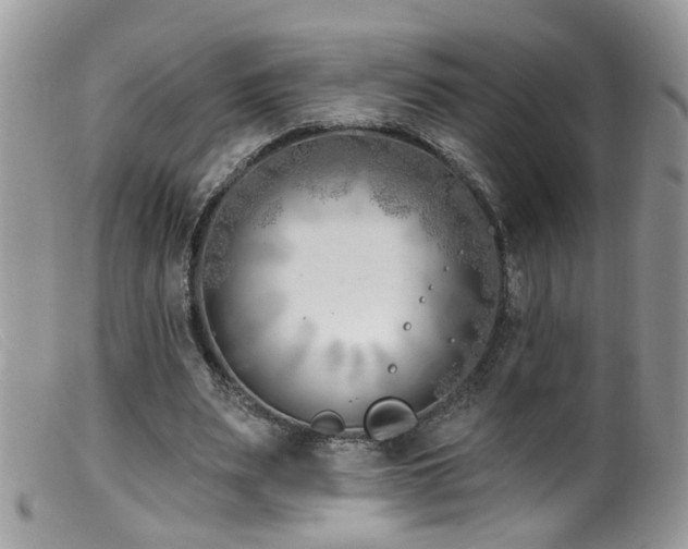X0000099520487200805151529