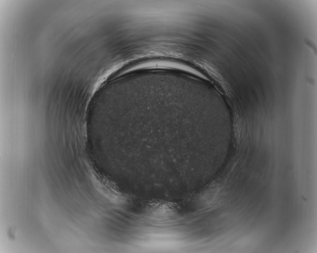 X0000099520488200805151529