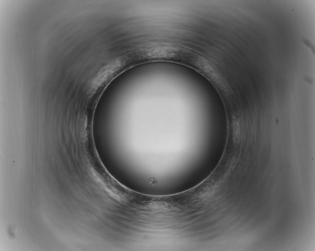 X0000099520490200805151529