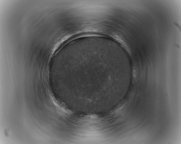 X0000099520492200805151529
