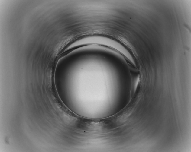 X0000099520493200805151529