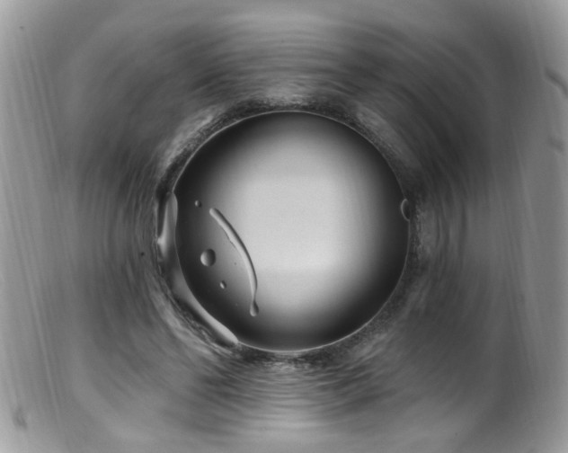 X0000099520494200805151529
