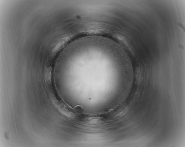X0000099520495200805151529