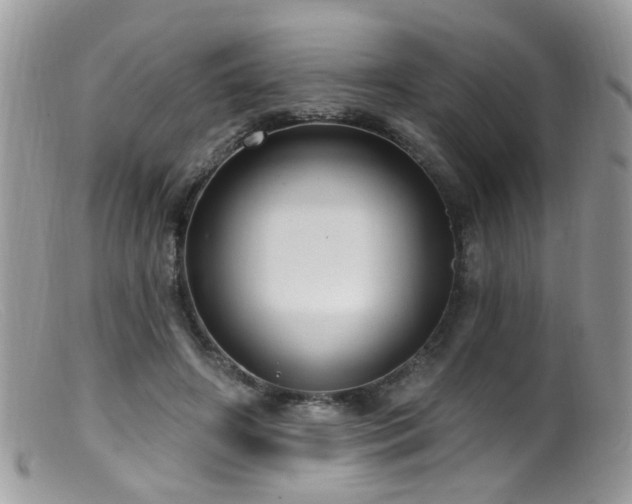 X0000099520498200805151529