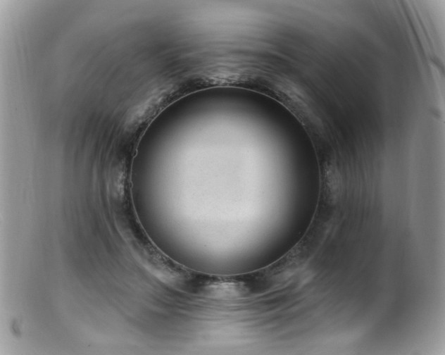 X0000099520499200805151529