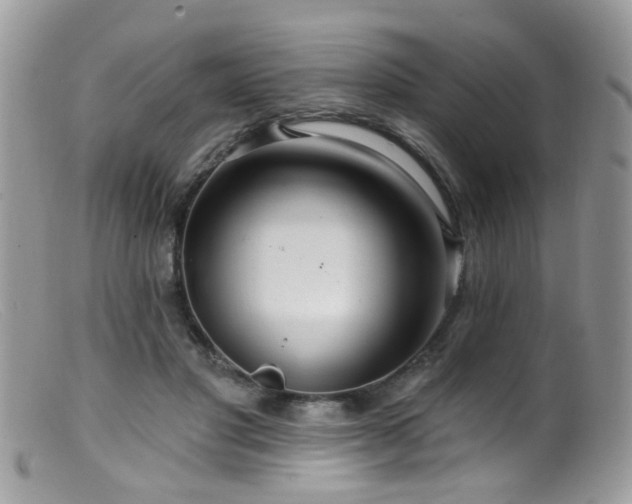 X0000099520501200805151529