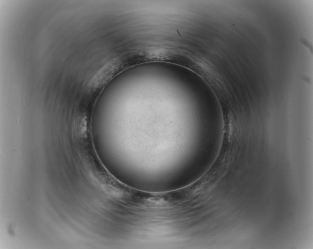 X0000099520502200805151529