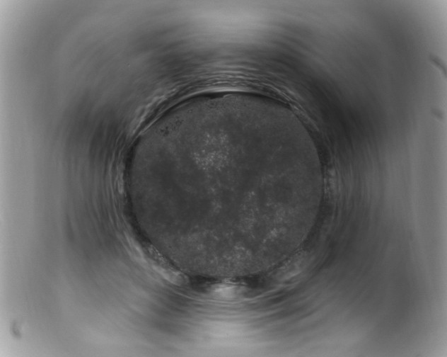X0000099520504200805151529