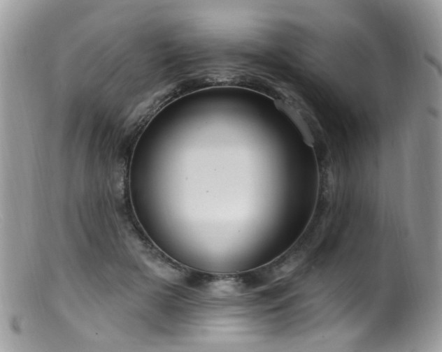 X0000099520505200805151529