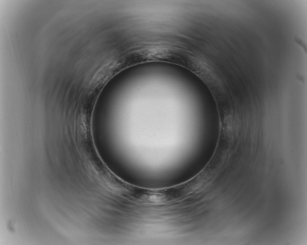 X0000099520506200805151529
