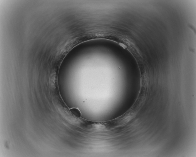 X0000099520509200805151528