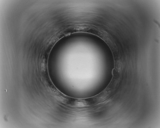 X0000099520510200805151528