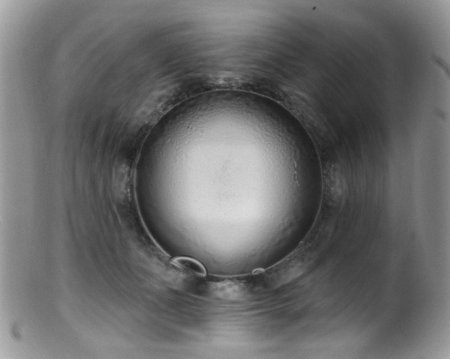 X0000099520511200805151528