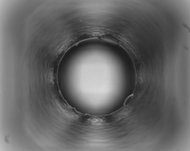 X0000099520512200805151528