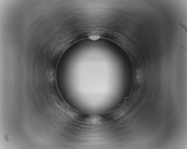 X0000099520514200805151528