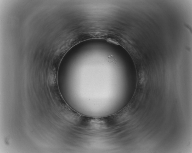 X0000099520515200805151528