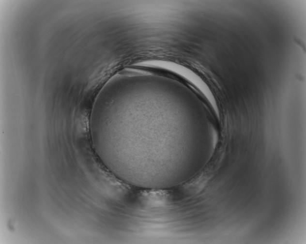 X0000099520517200805151528