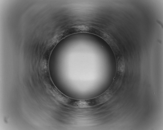 X0000099520518200805151528