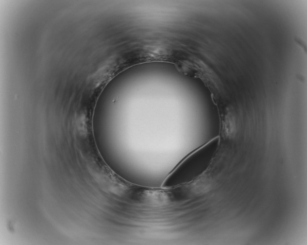 X0000099520520200805151528