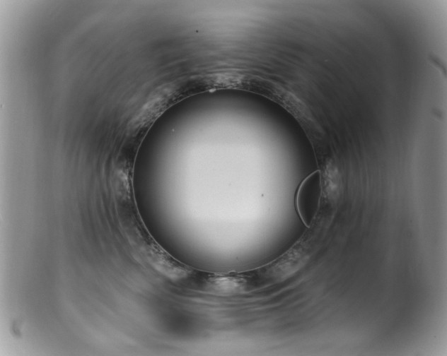 X0000099520522200805151528