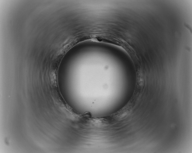 X0000099520523200805151528