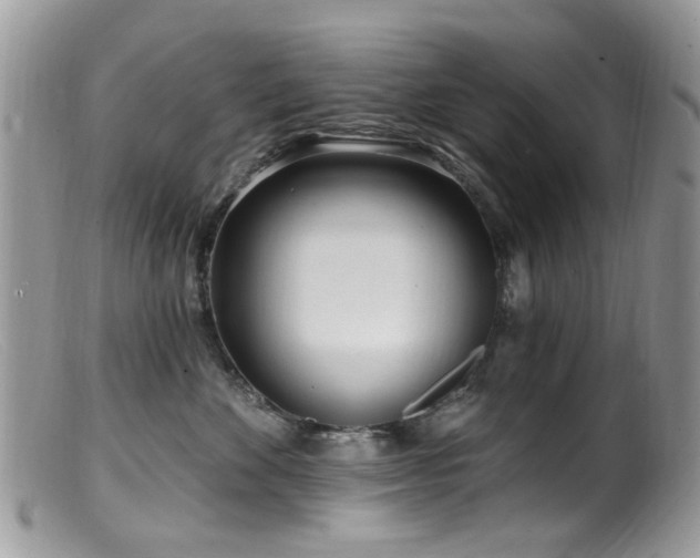 X0000099520524200805151528