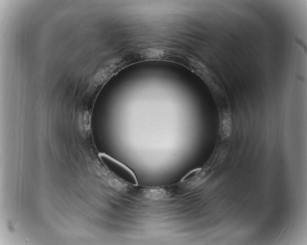 X0000099520525200805151528