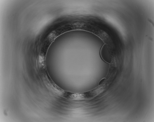 X0000099520526200805151528