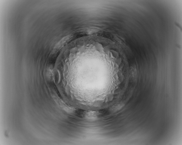 X0000099520527200805151528