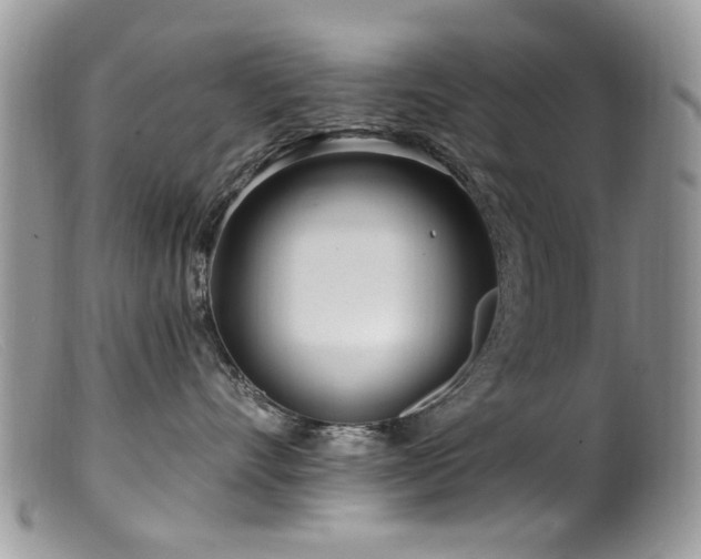 X0000099520528200805151528