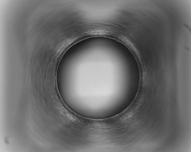 X0000099520529200805151527