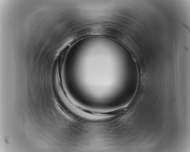 X0000099520530200805151527
