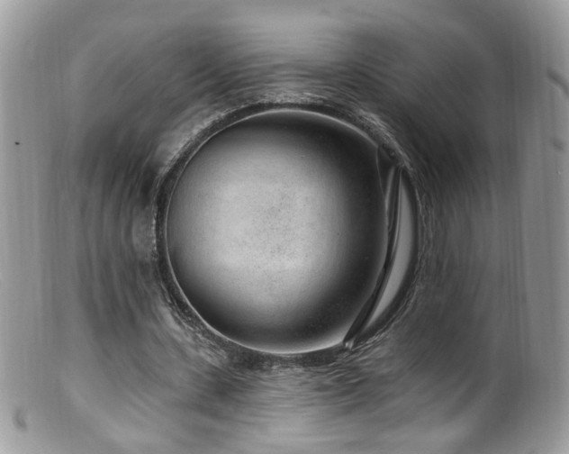 X0000099520531200805151527