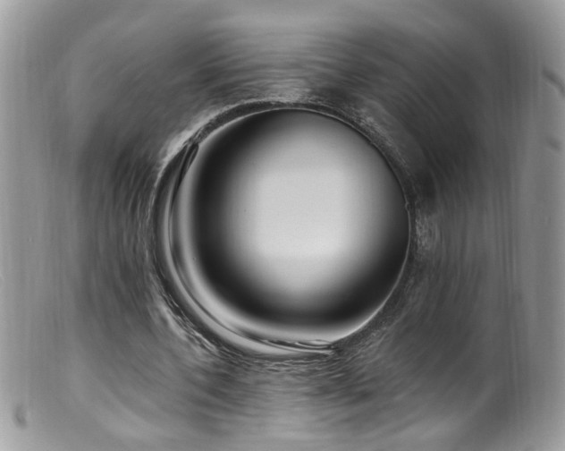 X0000099520532200805151527