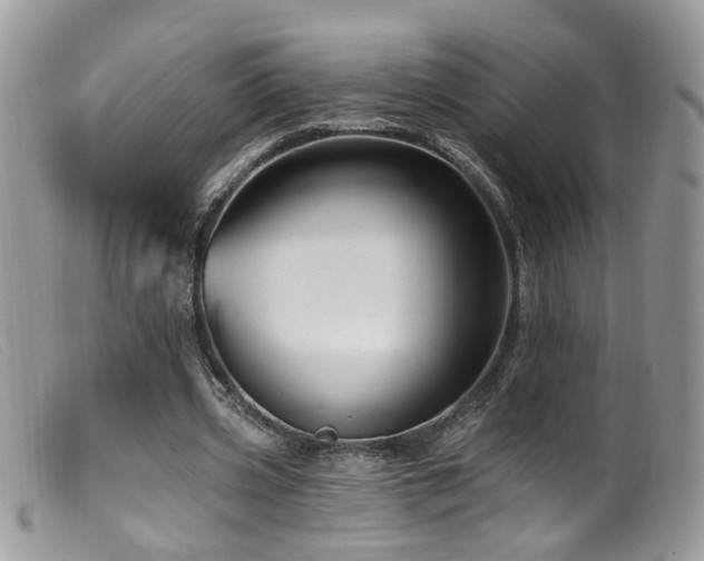 X0000099520533200805151527