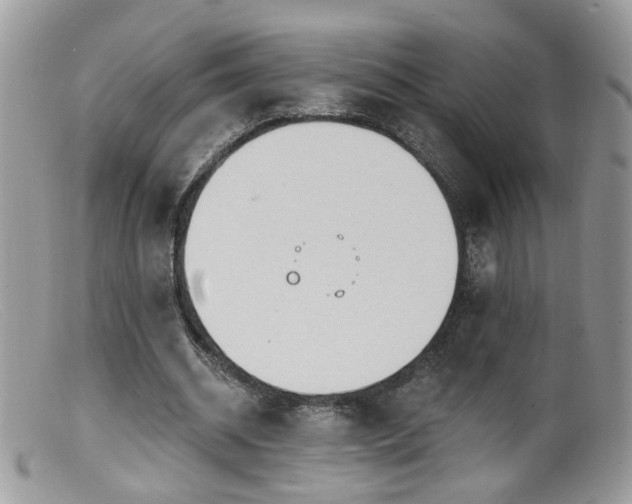 X0000099520534200805151527
