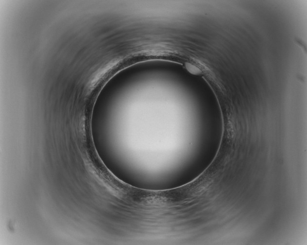 X0000099520535200805151527
