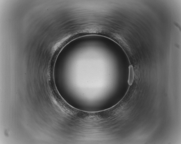 X0000099520536200805151527