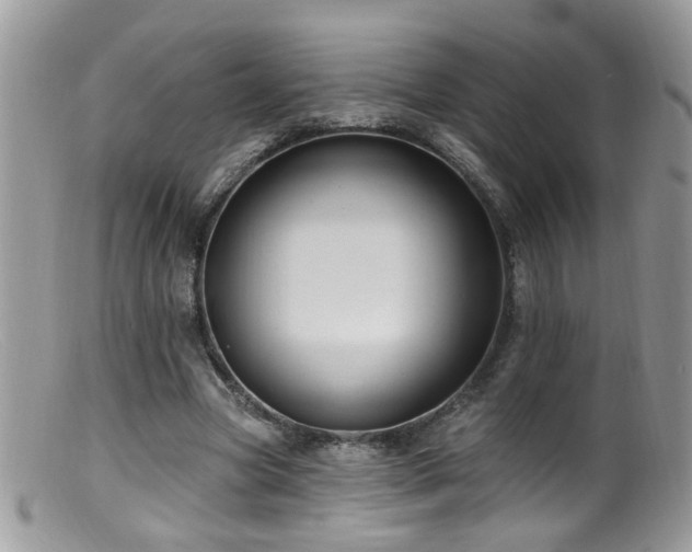 X0000099520537200805151527