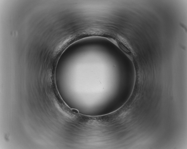 X0000099520538200805151527