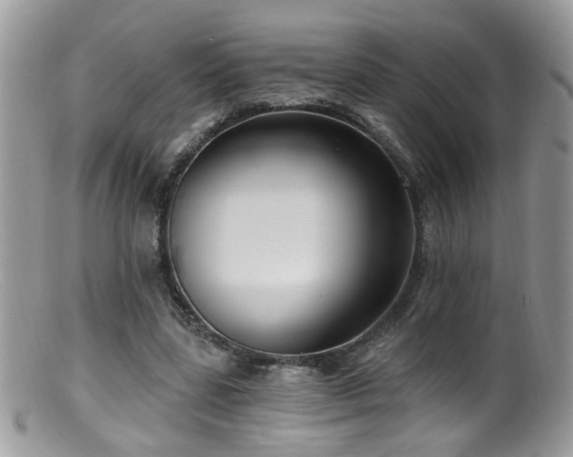 X0000099520539200805151527